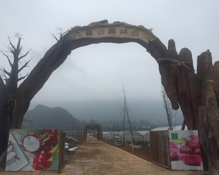 湖南永州 · 新四季火龙果园
